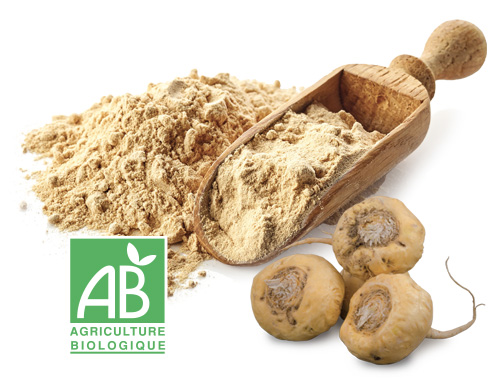 racine ginseng